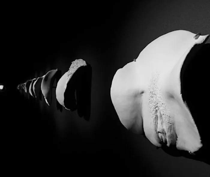 Vibrators Passionfruit CUNTSAnother Conversation Personal Portraits by Greg Taylor