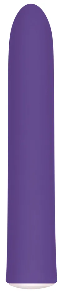 Rechargeable Slim Evolved Novelties Female Sex Toys
